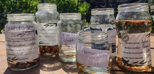 Taller de Capacitacion en tratamientos pre-germinativos y siembra de especies forestales