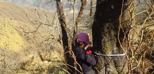 Viaje de campaña del curso de Dendrología - Estudiantes y docentes visitaron la Provincia de Tucumán