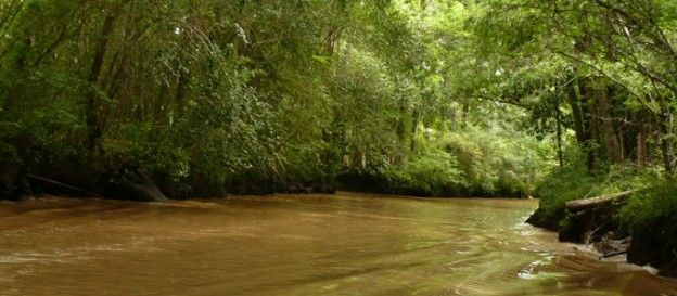 Ley de Bosques Nativos