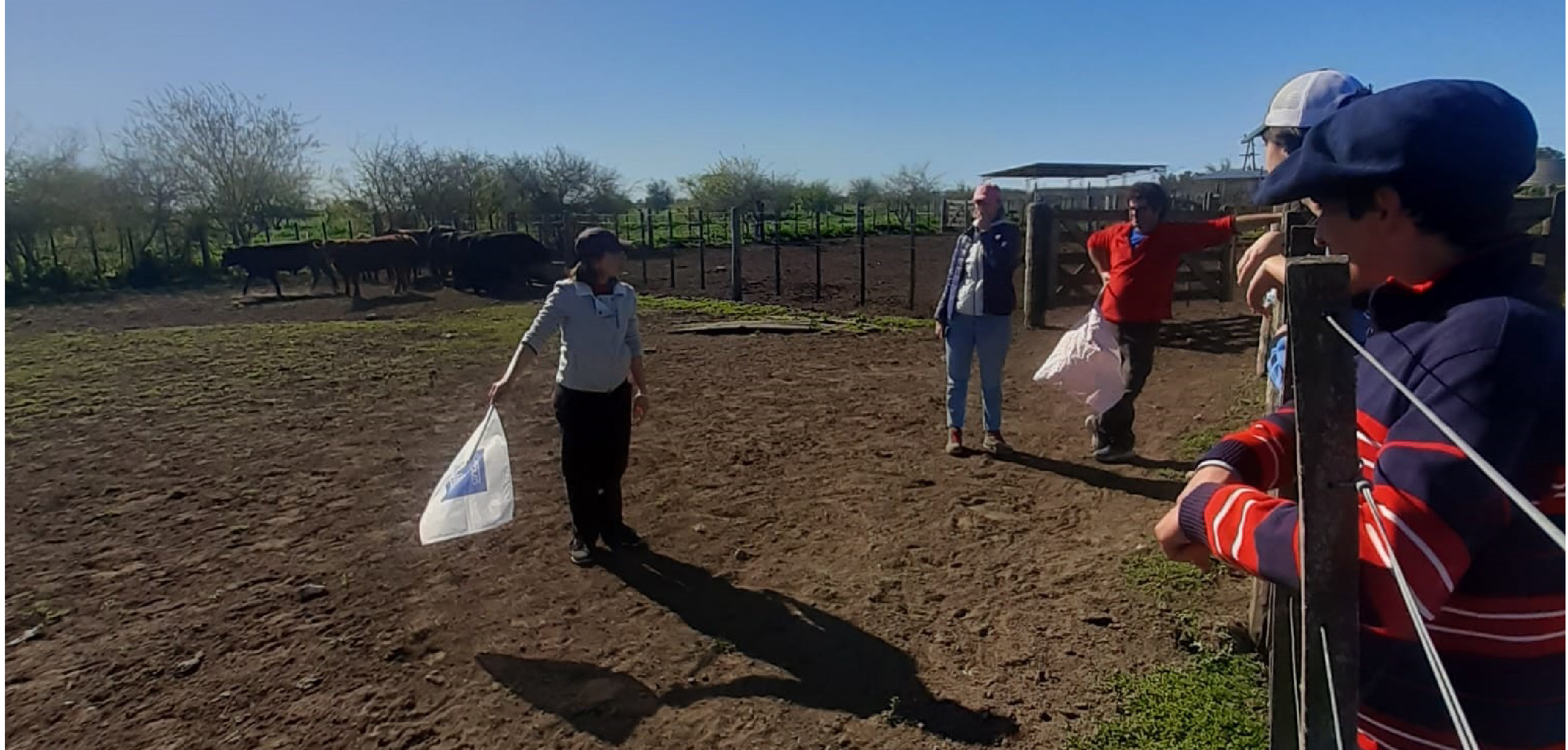 Curso de Extensión y Optativo de Bienestar Animal “en el décimo aniversario de su creación 2013-2023”