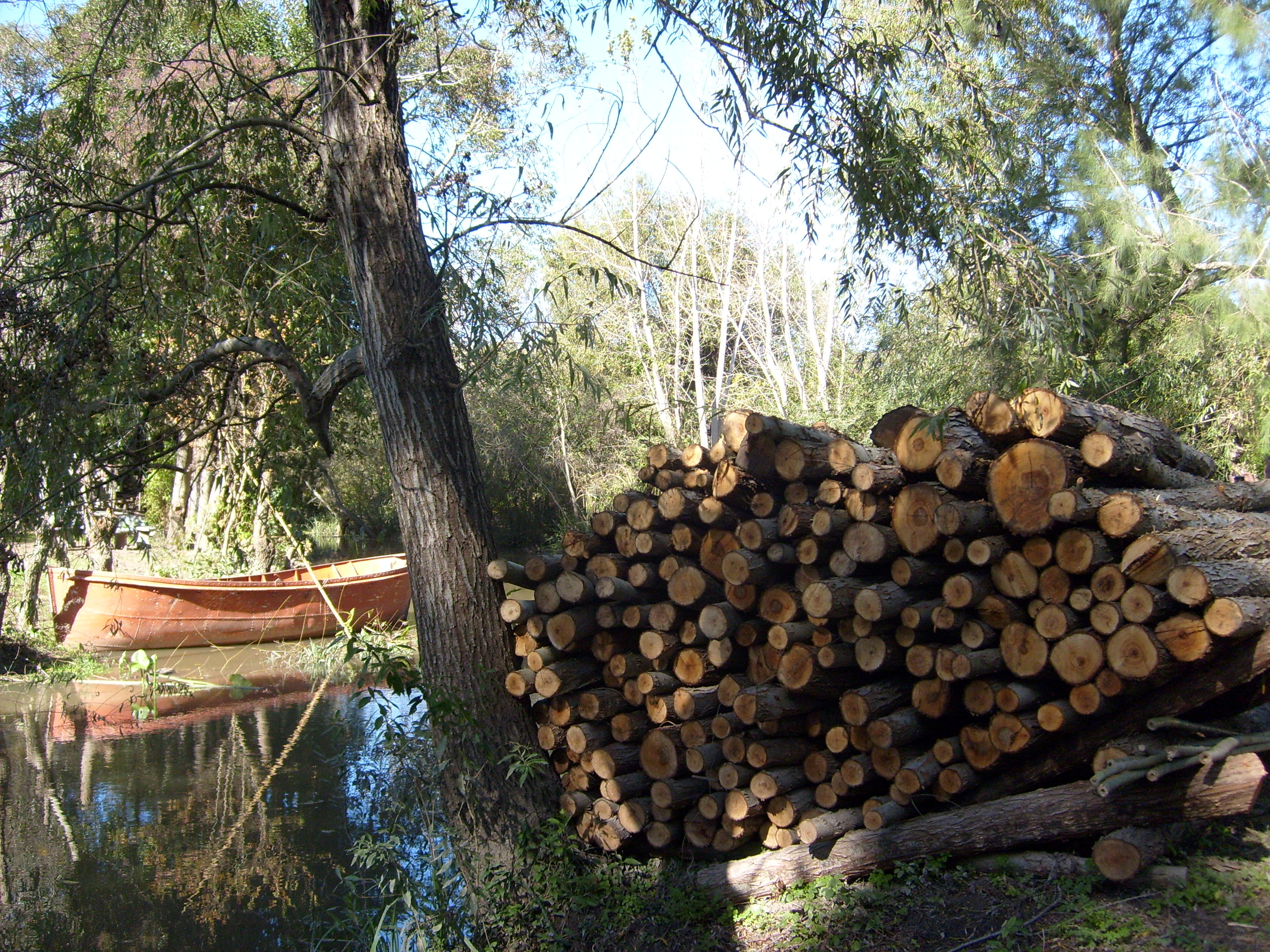 Charla forestal en Berisso sobre manejo y plantaciones del bosque nativo