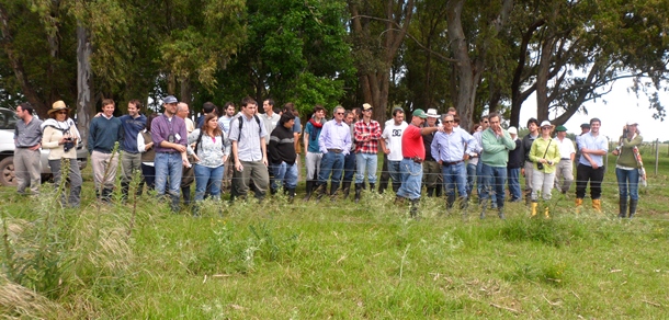 Jornada de Campo sobre Modelo de Cría Vacuna Pastoril. 