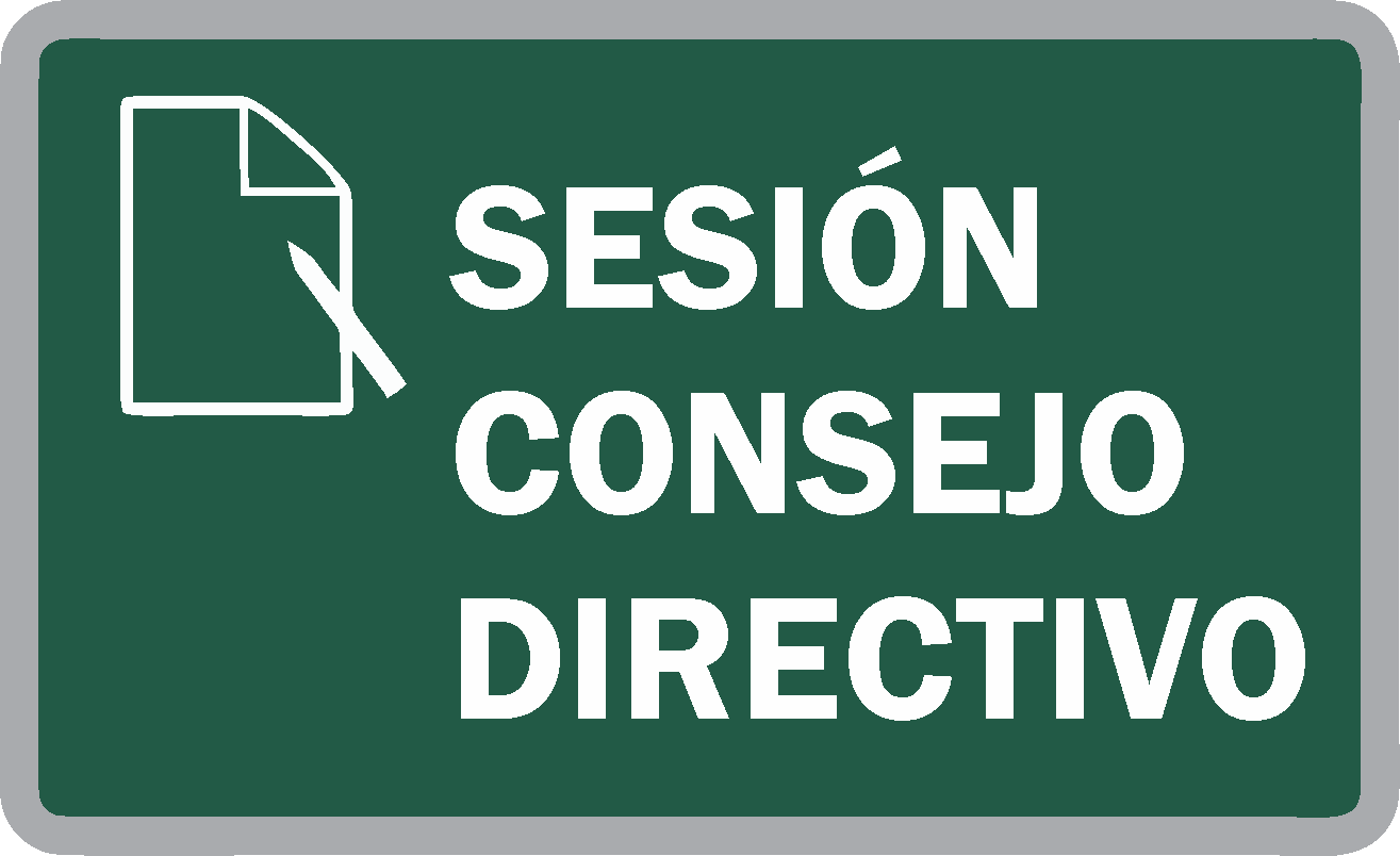 Sesión Ordinaria Nº 84 del Consejo Directivo