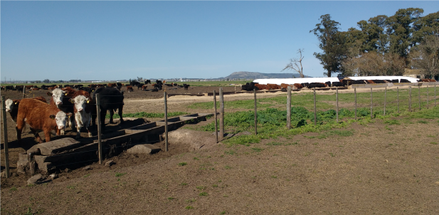 Visita y recorrida a la Unidad Integrada Balcarce