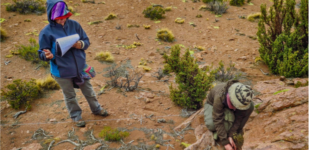 Viaje a Jujuy 