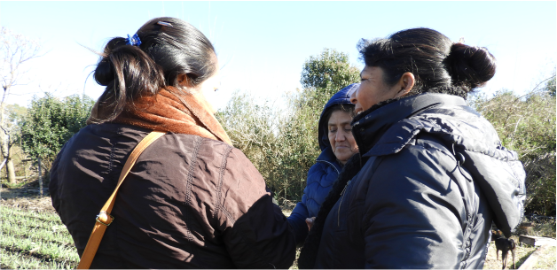 Primer encuentro: Biodiversidad para la transición agroecológica 