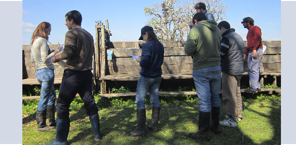 Finalizó el curso de Extensión de Bienestar Animal