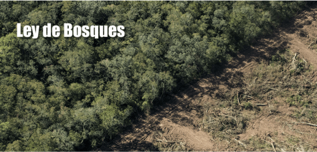 Ley de Bosques Nativos