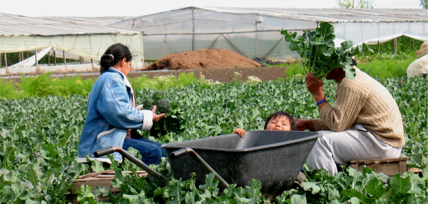 Panel abierto a toda la Comunidad:  “Extensión ¿Agroecológica?: Logros y Desafíos en Experiencias Locales”