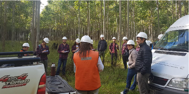 Viaje de estudios de la Carrera de Ingeniería Forestal 