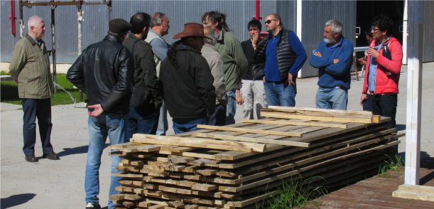 Encuentro con productores familiares forestales y aserraderos de Berisso en Centro de la Madera