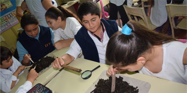 Estudiantes de escuelas primarias conocen sobre la producción de lombricompuesto.
