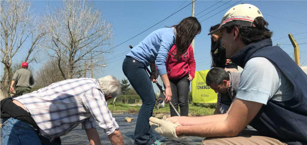 Silvicultura de salicáceas en la cuenca del Salado