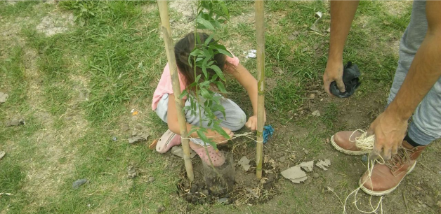 Jornada de plantación