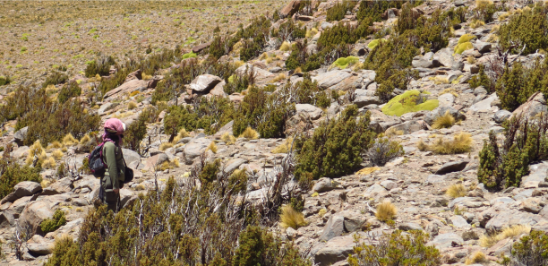 Viaje a Jujuy 