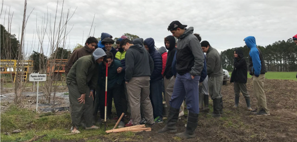 Silvicultura de salicáceas en la cuenca del Salado