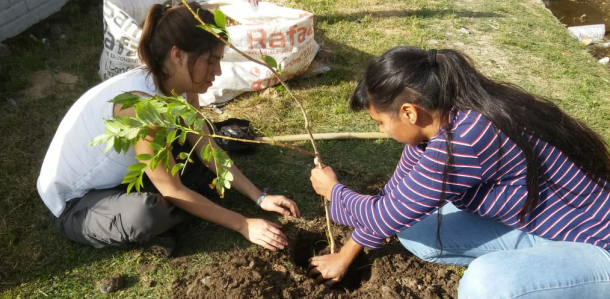 Jornada de plantación