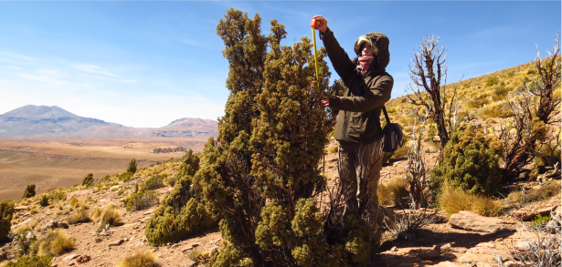 Viaje a Jujuy 