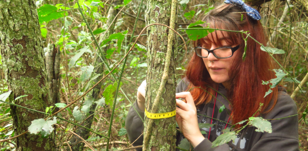 Inventario Forestal con estudiantes de Biometría Forestal
