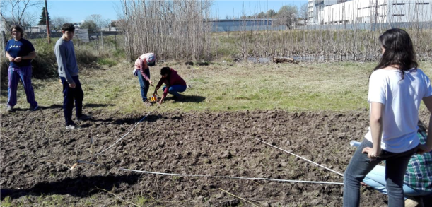 PITS “Berisso Forestal”