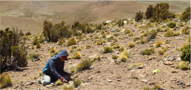 Viaje a Jujuy 