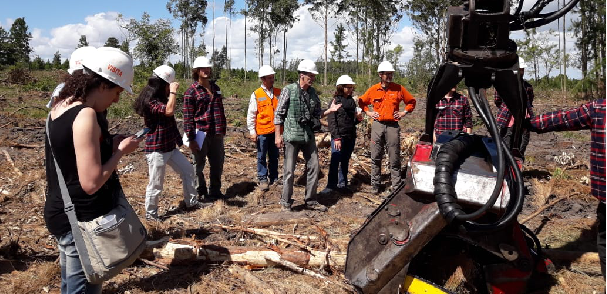 Viaje de estudios de la Carrera de Ingeniería Forestal 