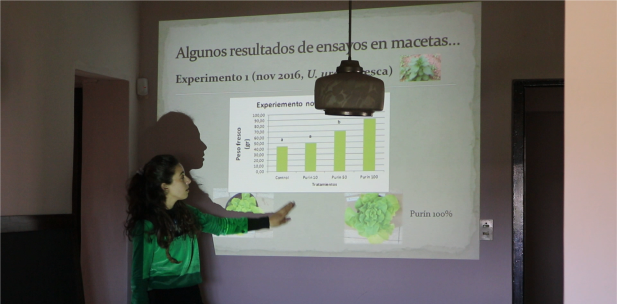 Taller: “Bioinsumos algunos resultados y más propuestas”