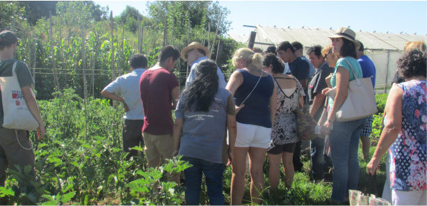 Visita de consumidores a productores  en transición agroecológica del CHP