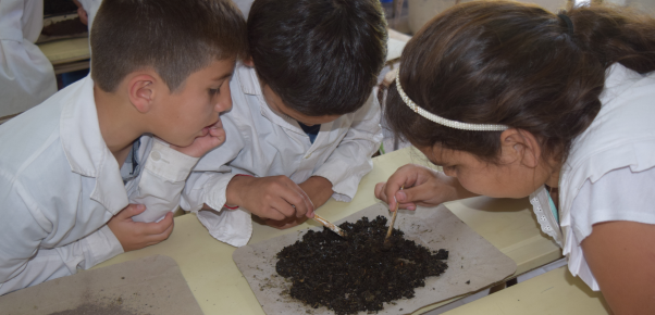 Estudiantes de escuelas primarias conocen sobre la producción de lombricompuesto.