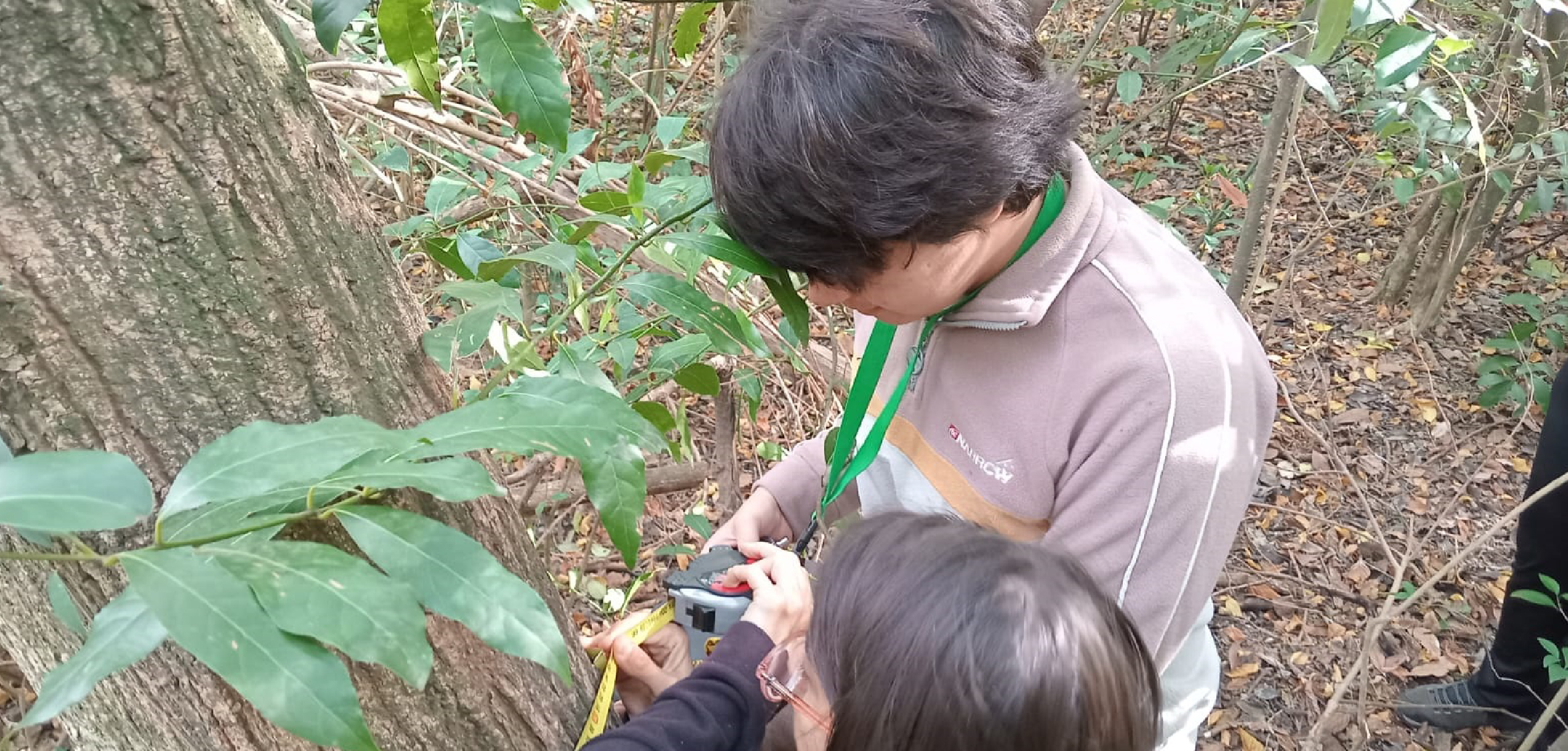 Actividad práctica de Biometría Forestal en Santa Catalina