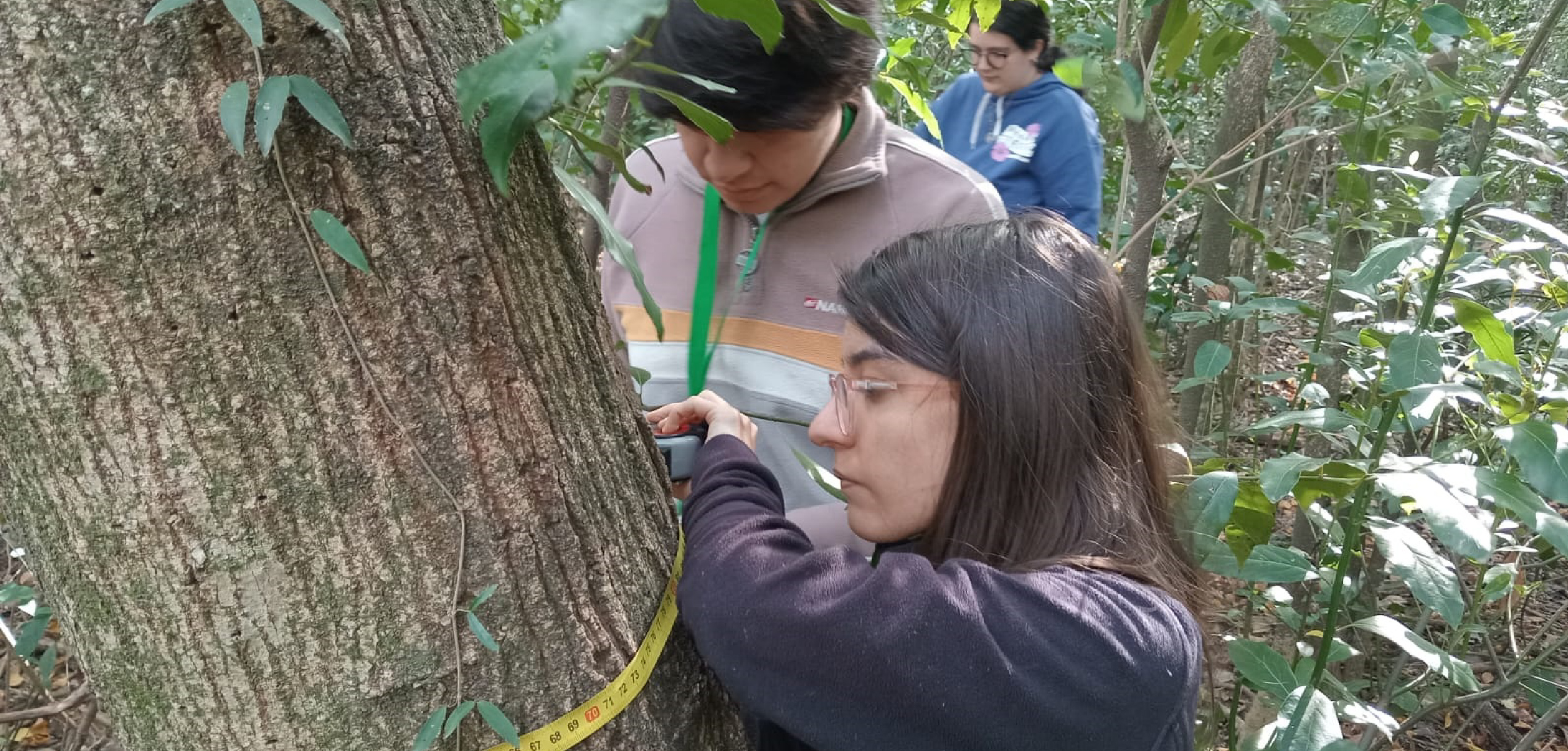 Actividad práctica de Biometría Forestal en Santa Catalina