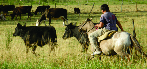 Jornada “1er contrato de Trabajo Agrario para Jóvenes Rurales”