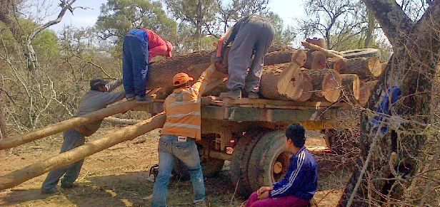 Mesa redonda: “Construcción de modelos de desarrollo forestal: sus distintas dimensiones”