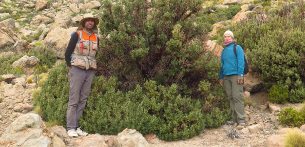 Campaña de medición de bosques de altura en Jujuy