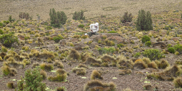 Campaña de medición de bosques de altura en Jujuy