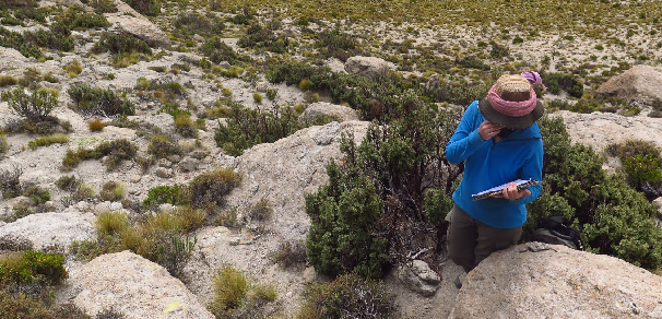 Campaña de medición de bosques de altura en Jujuy