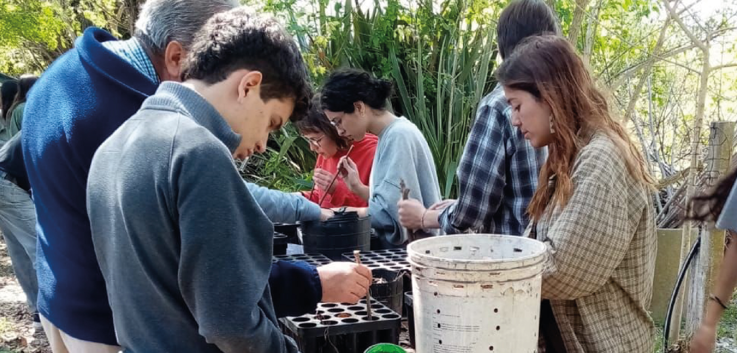 ¿Sabías que en la Facultad existe un vivero forestal?