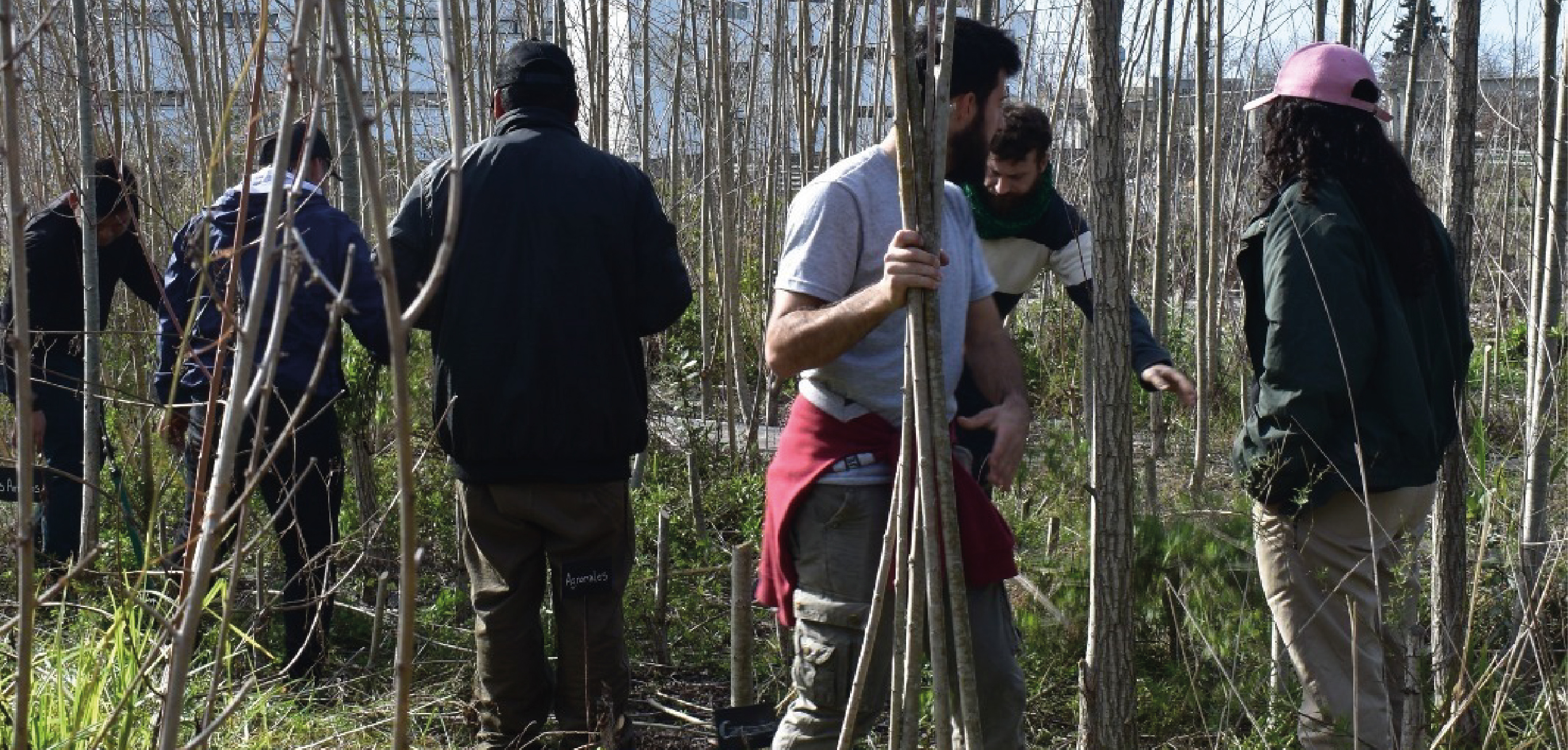 UNIDAD VIVERO FORESTAL