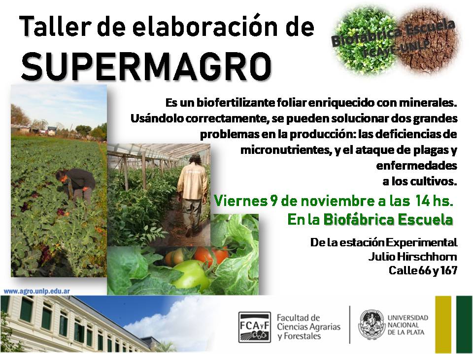 Taller de elaboración de supermagro