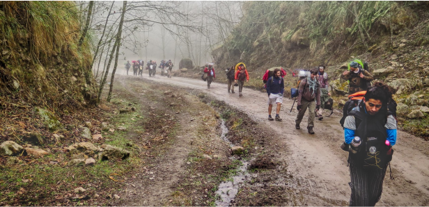 Relevamiento de Bosques  Nativos en  Tucumán