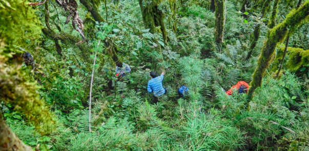 Relevamiento de Bosques  Nativos en  Tucumán